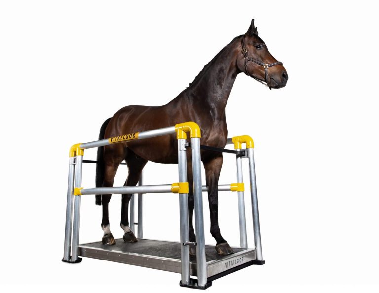 Vitafloor VME – Horse Vibration Plate