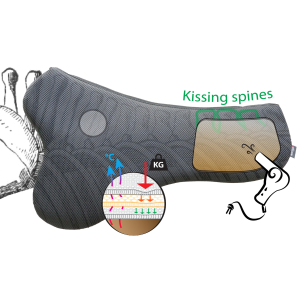 Sedelogic S-Curve Therapeutic Saddle Pad