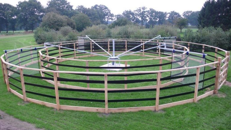 Q-Line Horse Exerciser LBE