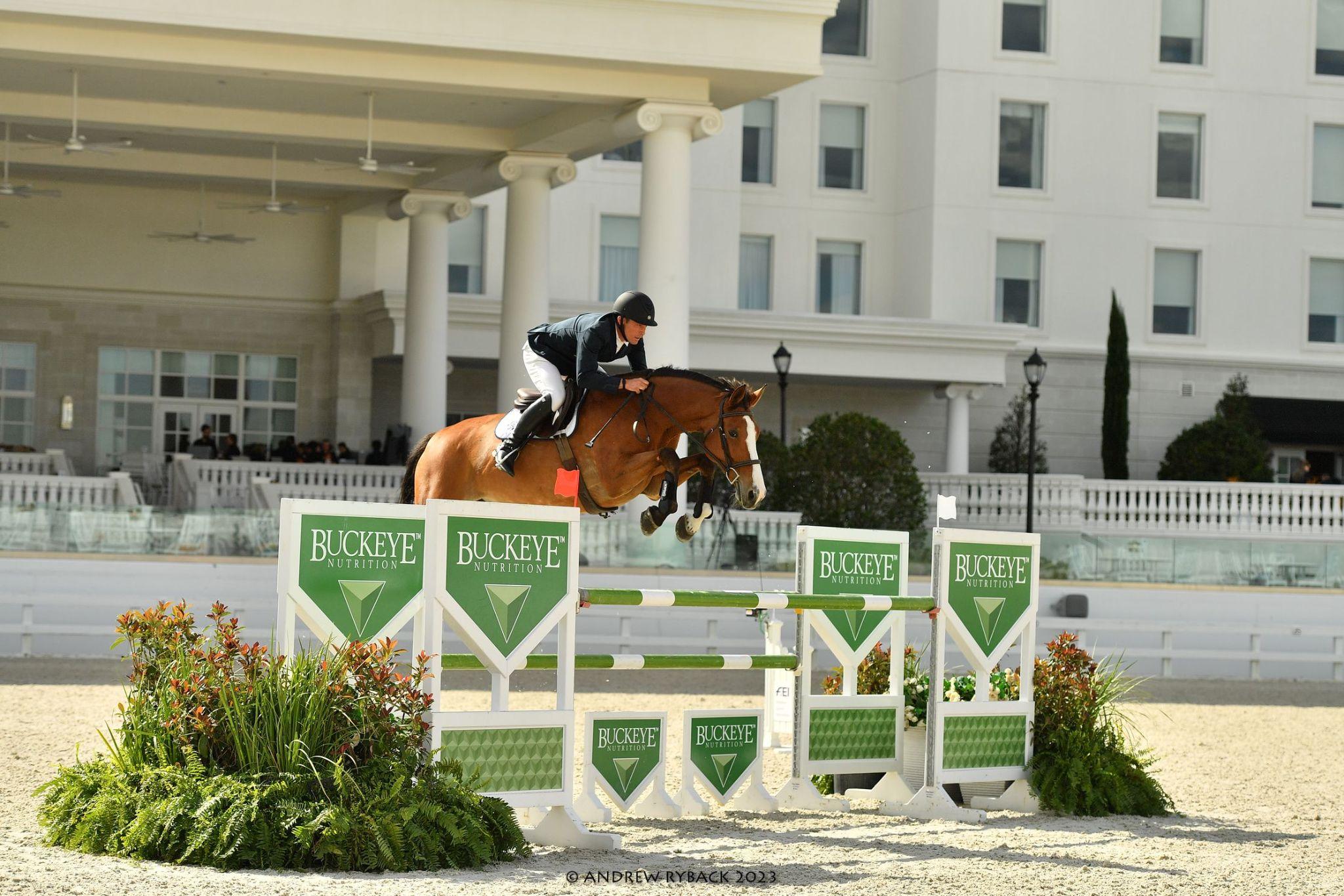 Saddle pads for horses