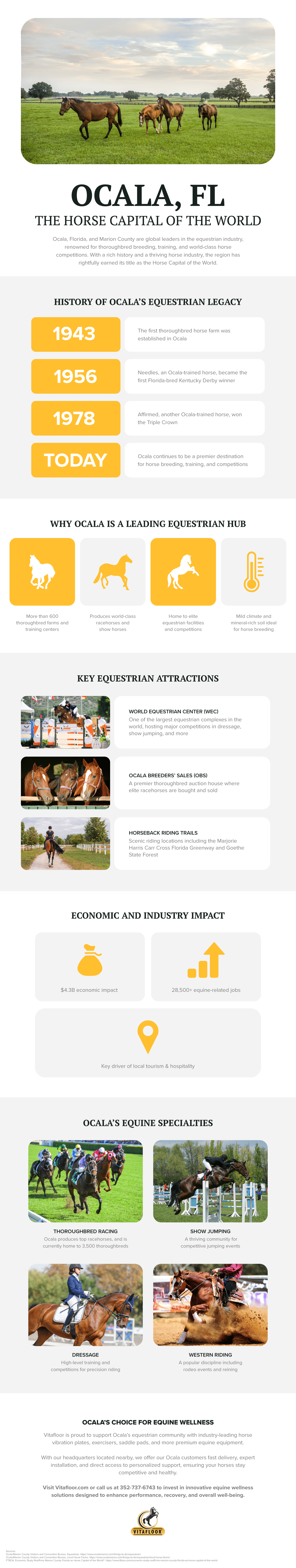 the Horse Capital of the World Infographic